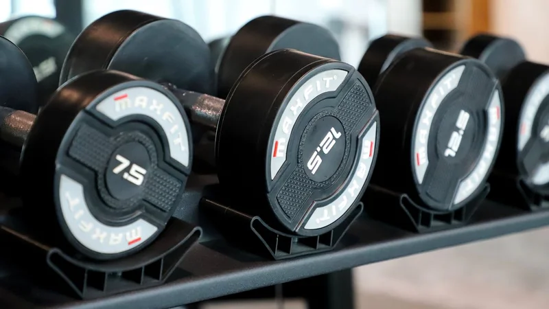 Pesi in palestra; immagine illustrativa, non prova di uso di sostanze