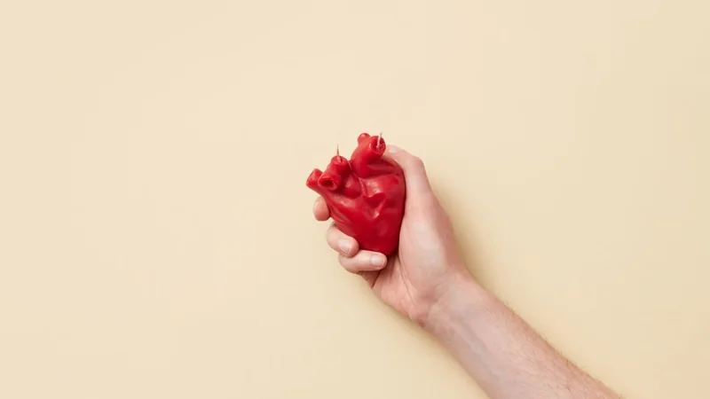 Modello anatomico del cuore; immagine illustrativa